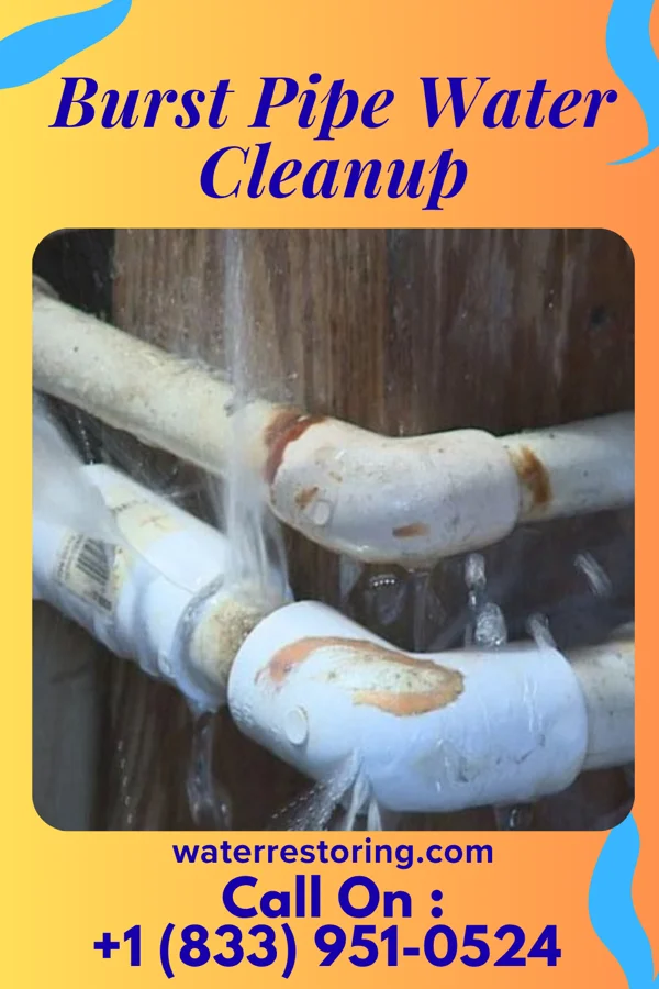 Burst Pipe Water Cleanup in Carlisle, PA