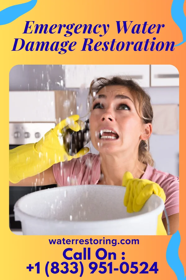 Emergency Water Damage Restoration in Carlisle, PA