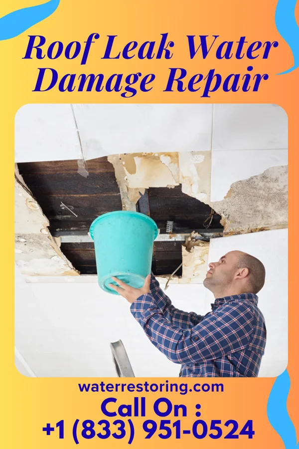 Roof Leak Water Damage Repair in Carlisle, PA