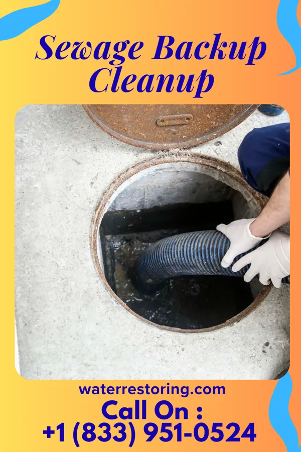 Sewage Backup Cleanup in Carlisle, PA