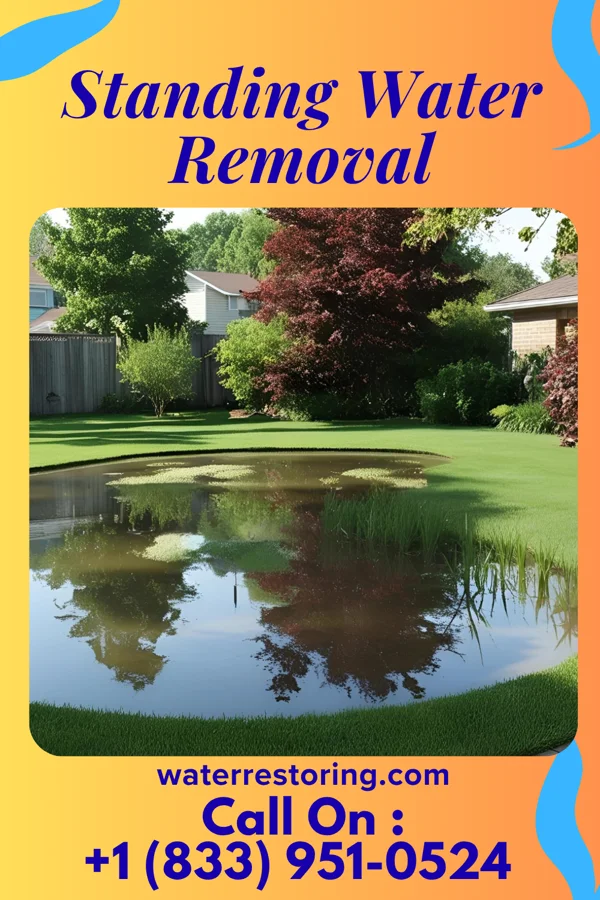 Standing Water Removal in Carlisle, PA